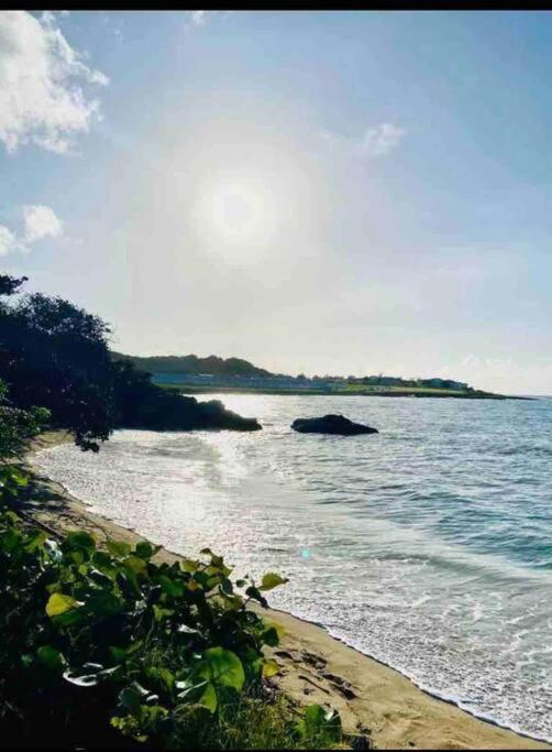 Natty'S Cozy Beach House In Hanover Jamaica Lucea Exterior foto